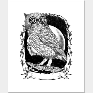 Nighty Owl Posters and Art